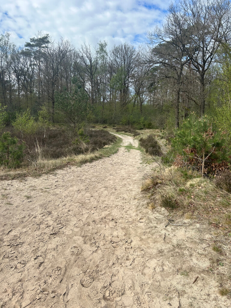 Bakkeveenae duinen groene paaltjes route
