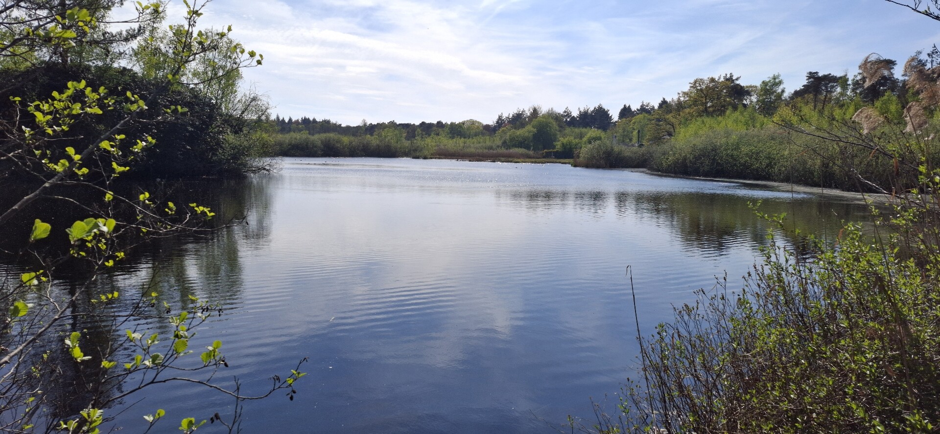 Hilvarenbeek - Oisterwijk · Brabants Vennenpad etappe 12