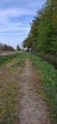 Hilvarenbeek - Oisterwijk · Brabants Vennenpad etappe 12