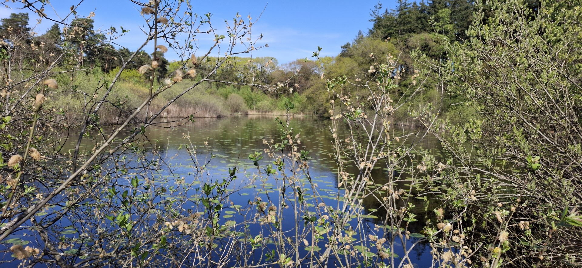 Hilvarenbeek - Oisterwijk · Brabants Vennenpad etappe 12