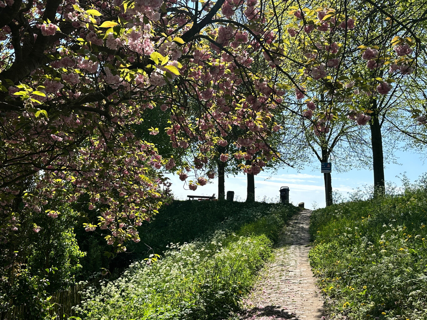 Nederhemert-Noord - Drunen · Pelgrimspad etappe 10