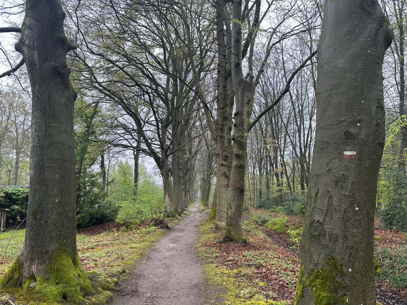 Klarenbeek - Hoenderloo · Marskramerpad etappe 9
