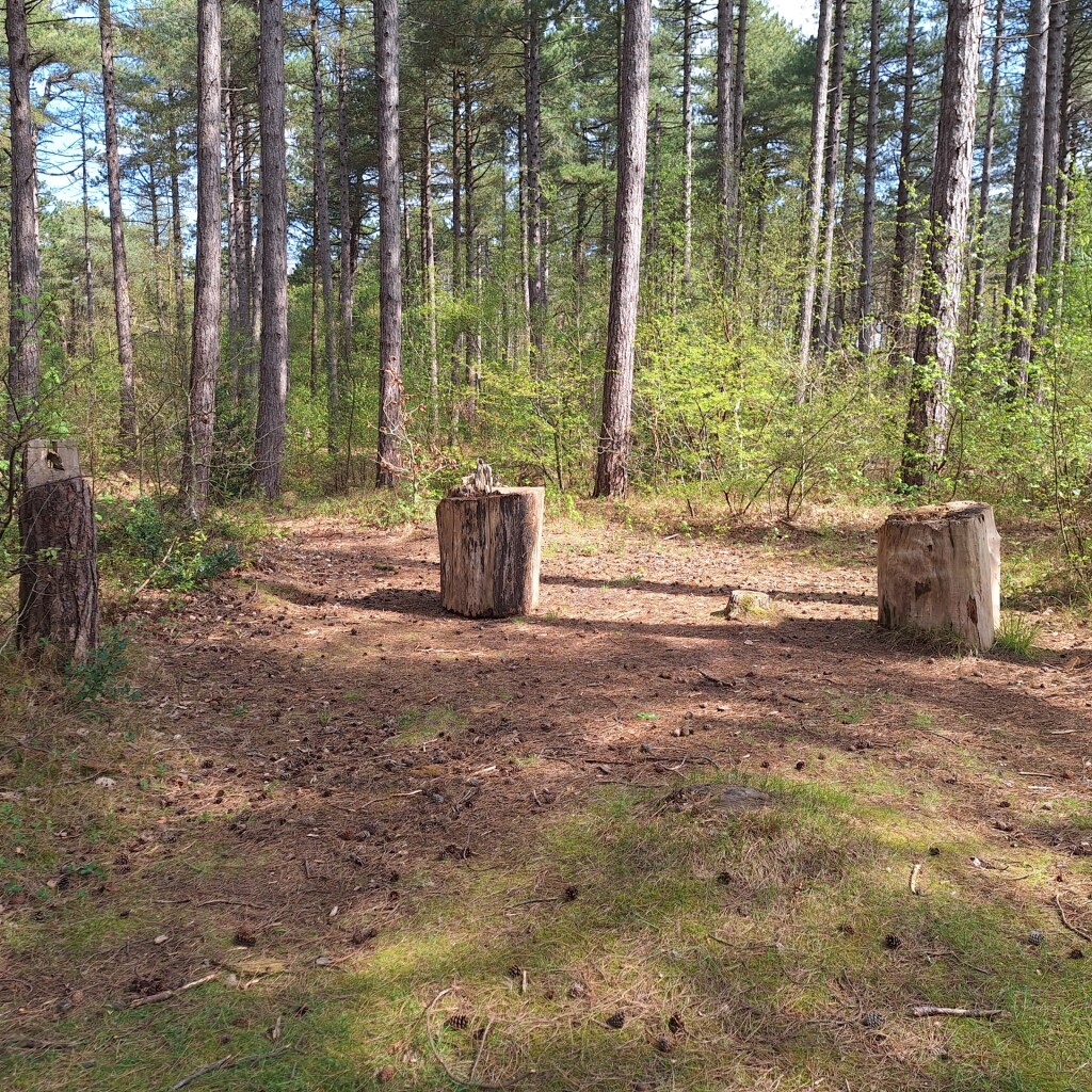Wandelroute Sparrenlaan en Groene Pollen
