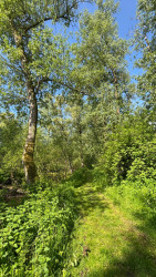 Rondwandeling (Oeverlanden - Hollands Diep) · Biesboschpad etappe 13