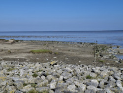 Ternaard - Lauwersoog · Nederlands Kustpad 3 etappe 8