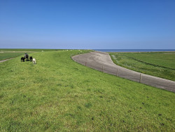 Ternaard - Lauwersoog · Nederlands Kustpad 3 etappe 8