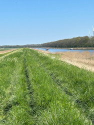 De Haukes - Kolhorn · Noord-Hollandpad etappe 7