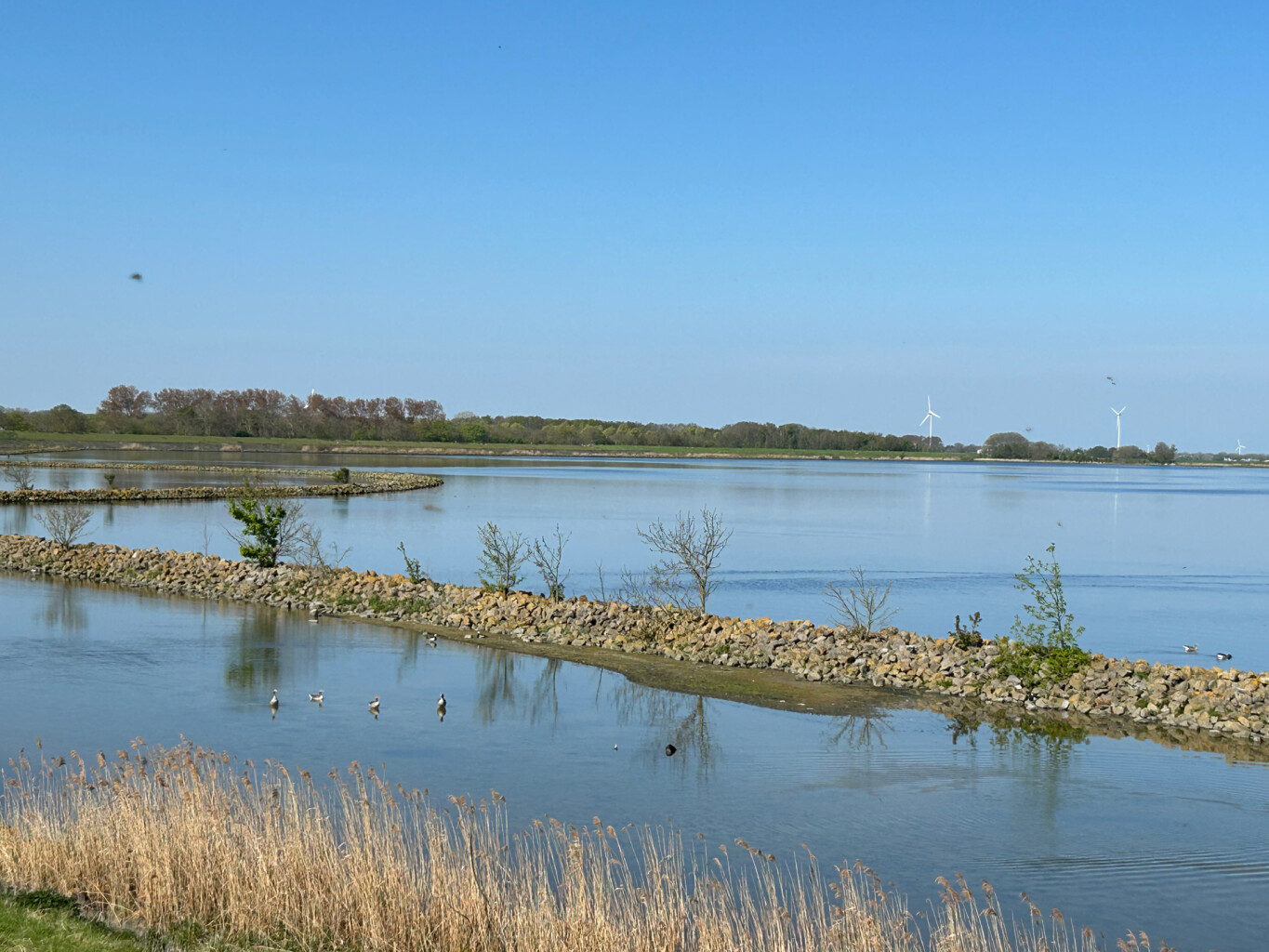 De Haukes - Kolhorn · Noord-Hollandpad etappe 7