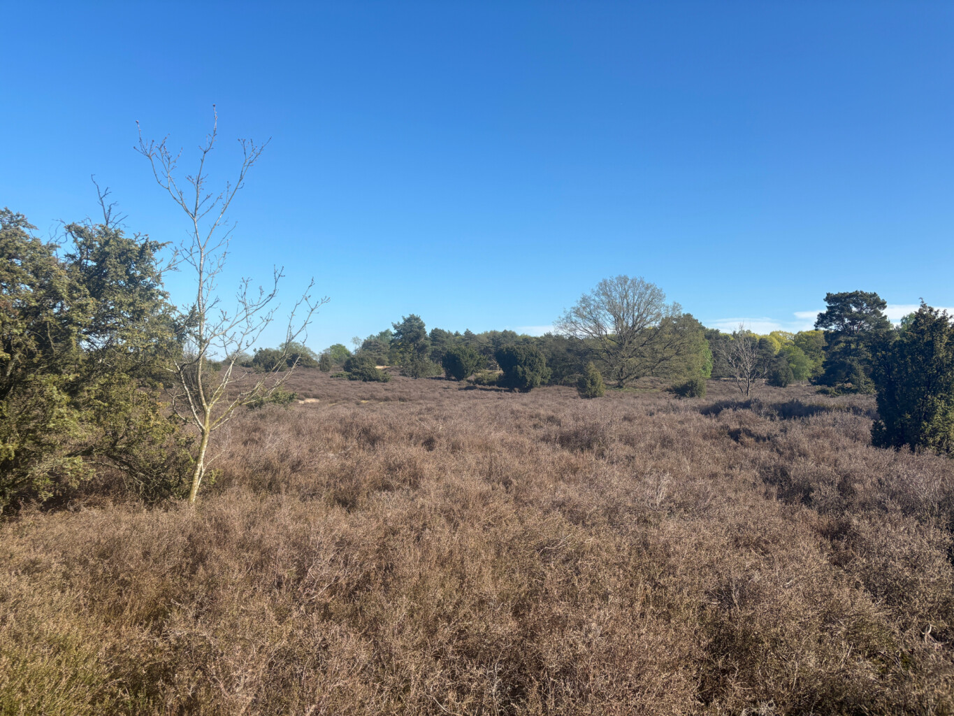Zuidlaren - Gieten · Drenthepad etappe 11
