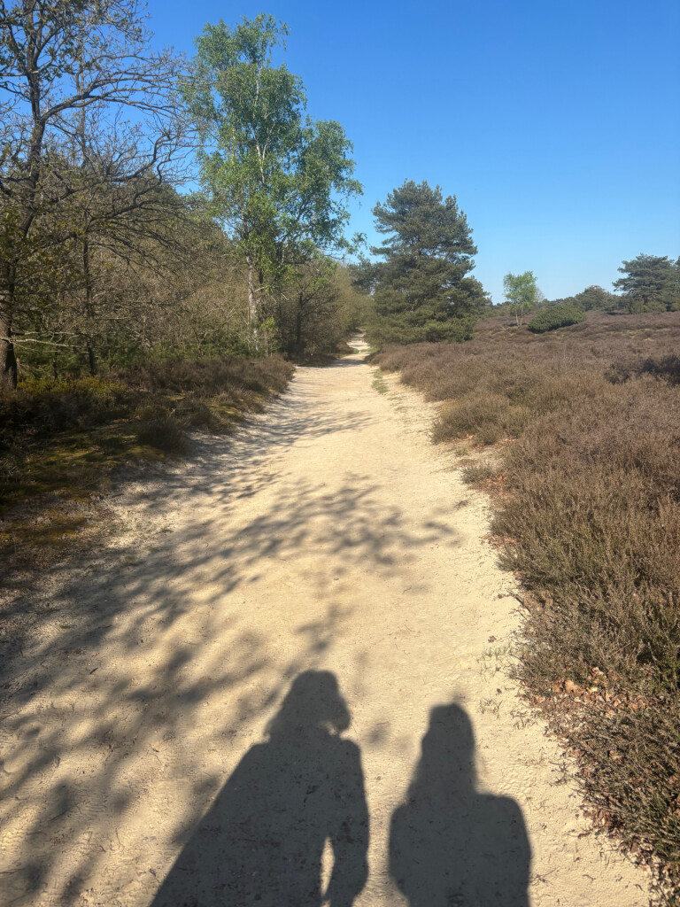 Zuidlaren - Gieten · Drenthepad etappe 11