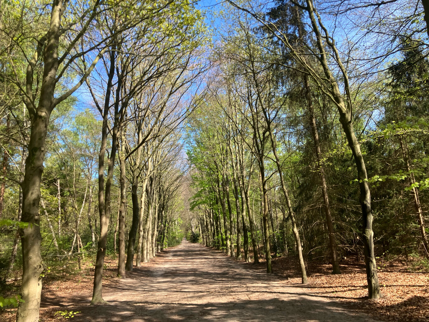 Station Naarden-Bussum - Station Hilversum · Westerborkpad etappe 5