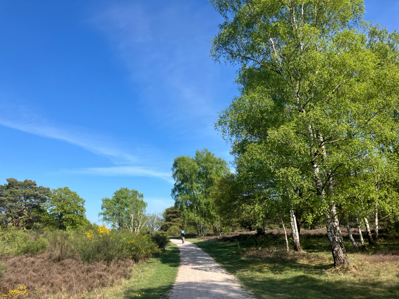 Station Naarden-Bussum - Station Hilversum · Westerborkpad etappe 5