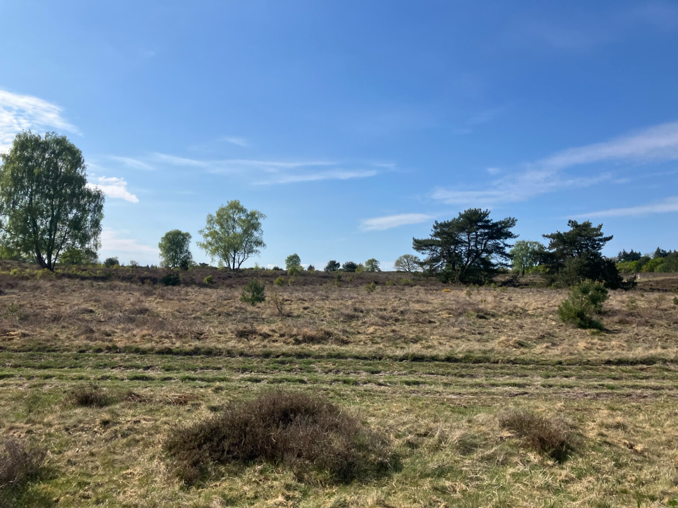 Station Naarden-Bussum - Station Hilversum · Westerborkpad etappe 5