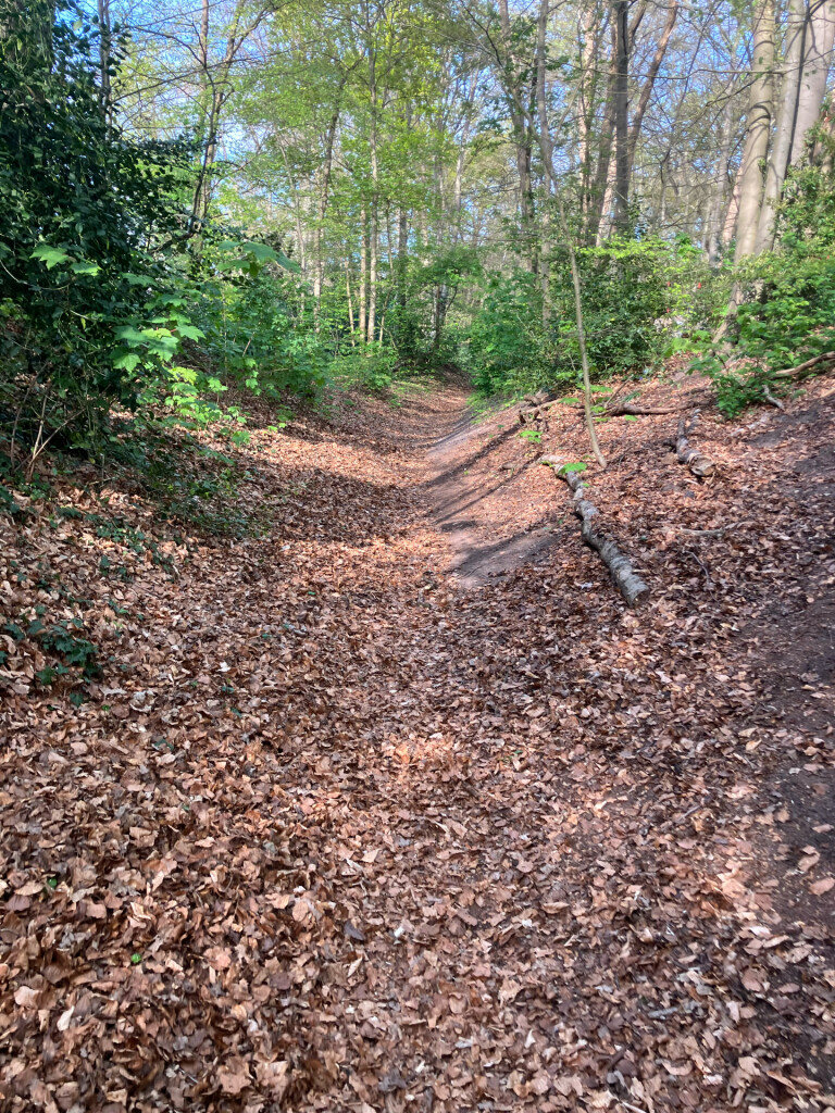 Station Naarden-Bussum - Station Hilversum · Westerborkpad etappe 5