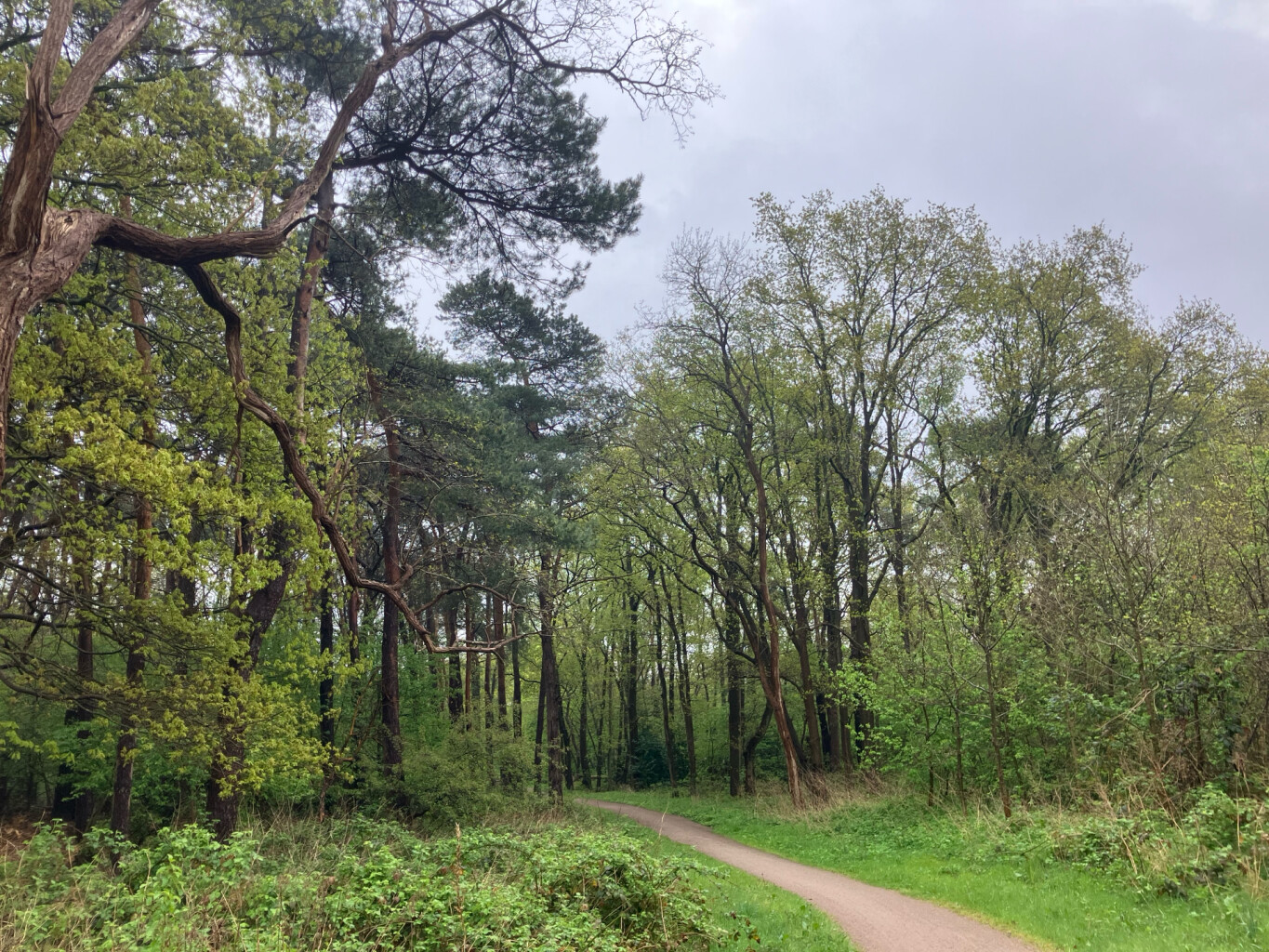 Station Hilversum - Station Hilversum Sportpark · Westerborkpad etappe 6