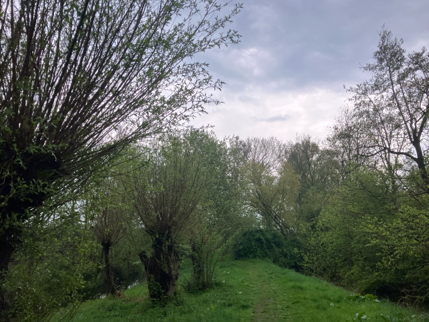 Station Hilversum - Station Hilversum Sportpark · Westerborkpad etappe 6