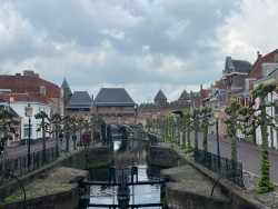 Station Amersfoort Schothorst - Station Nijkerk · Westerborkpad etappe 10
