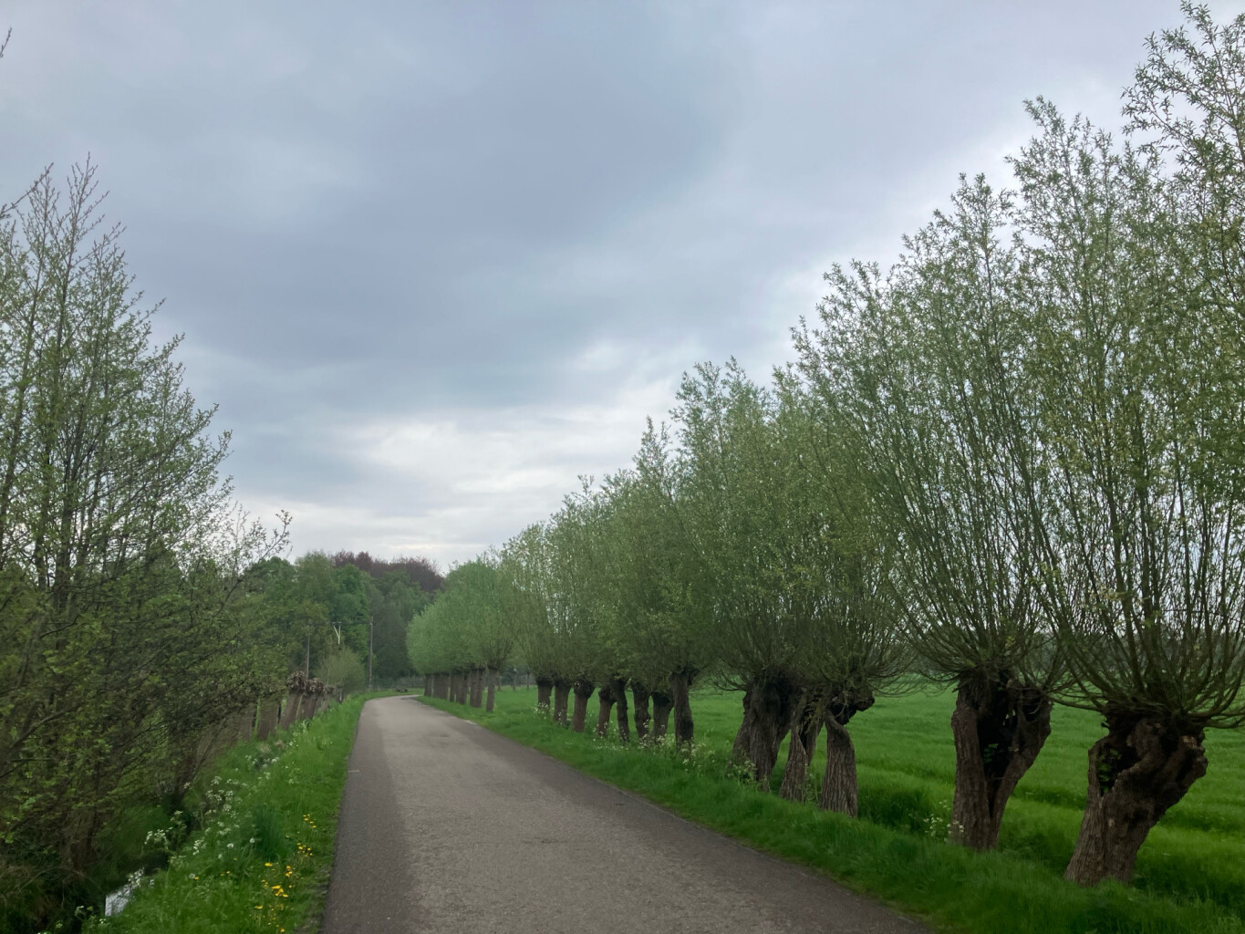 Station Nijkerk - Station Putten · Westerborkpad etappe 11