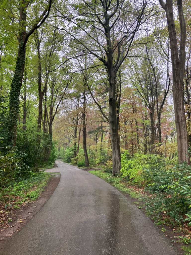 Station Putten - Station Harderwijk · Westerborkpad etappe 12