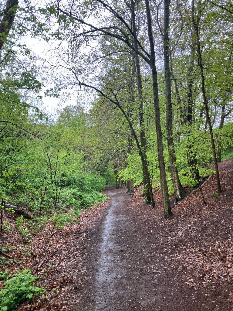 Station Putten - Station Harderwijk · Westerborkpad etappe 12