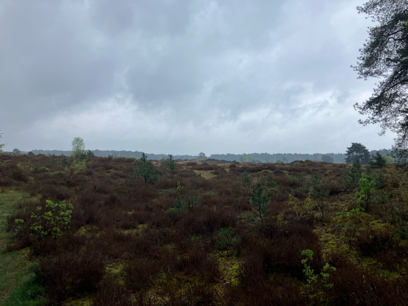 Station Harderwijk - Station Nunspeet · Westerborkpad etappe 13