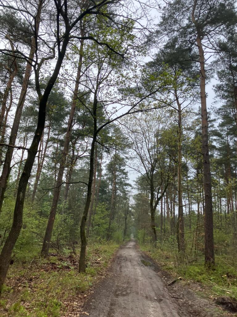 Station Nunspeet - Station 't Harde · Westerborkpad etappe 15