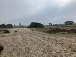 Station Nunspeet - Station 't Harde · Westerborkpad etappe 15