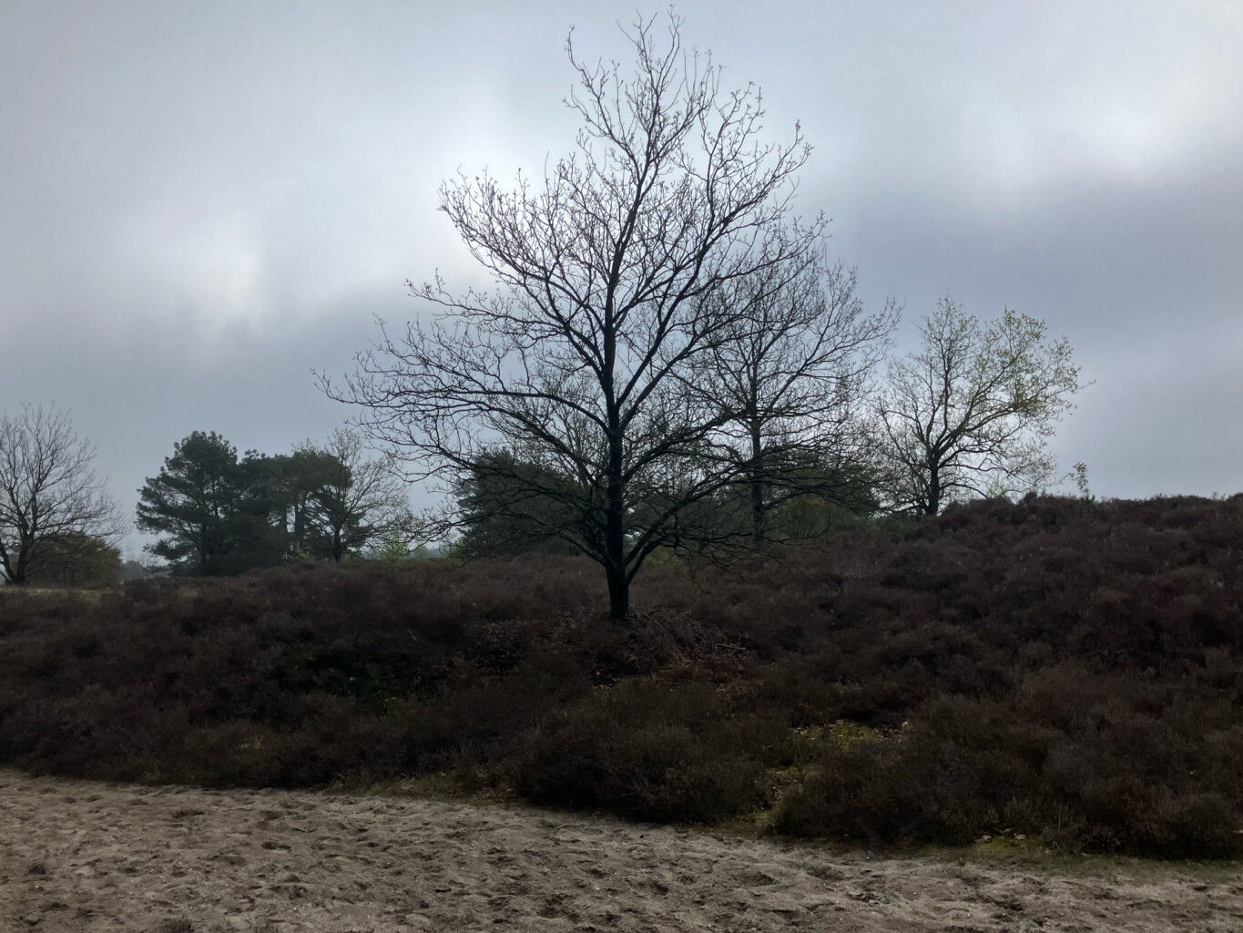 Station Nunspeet - Station 't Harde · Westerborkpad etappe 15