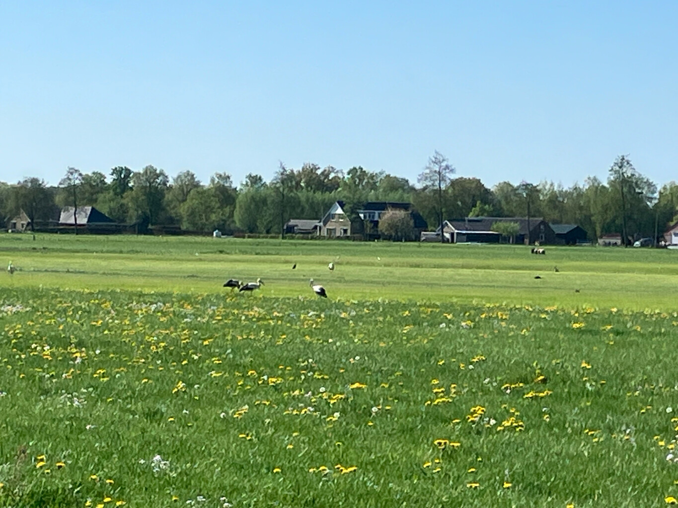 Station 't Harde - Station Wezep · Westerborkpad etappe 17