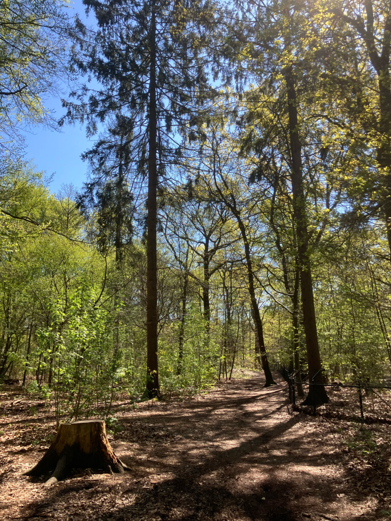 Station 't Harde - Station Wezep · Westerborkpad etappe 17