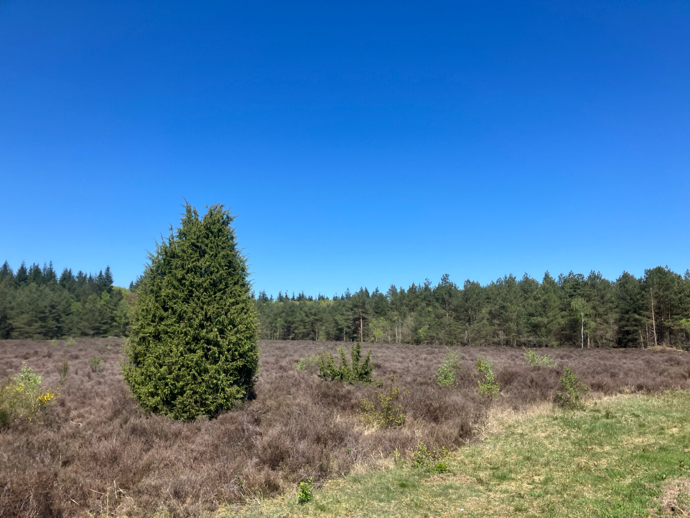 Station 't Harde - Station Wezep · Westerborkpad etappe 17