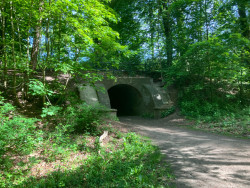 Hattem - Station Zwolle · Westerborkpad etappe 19