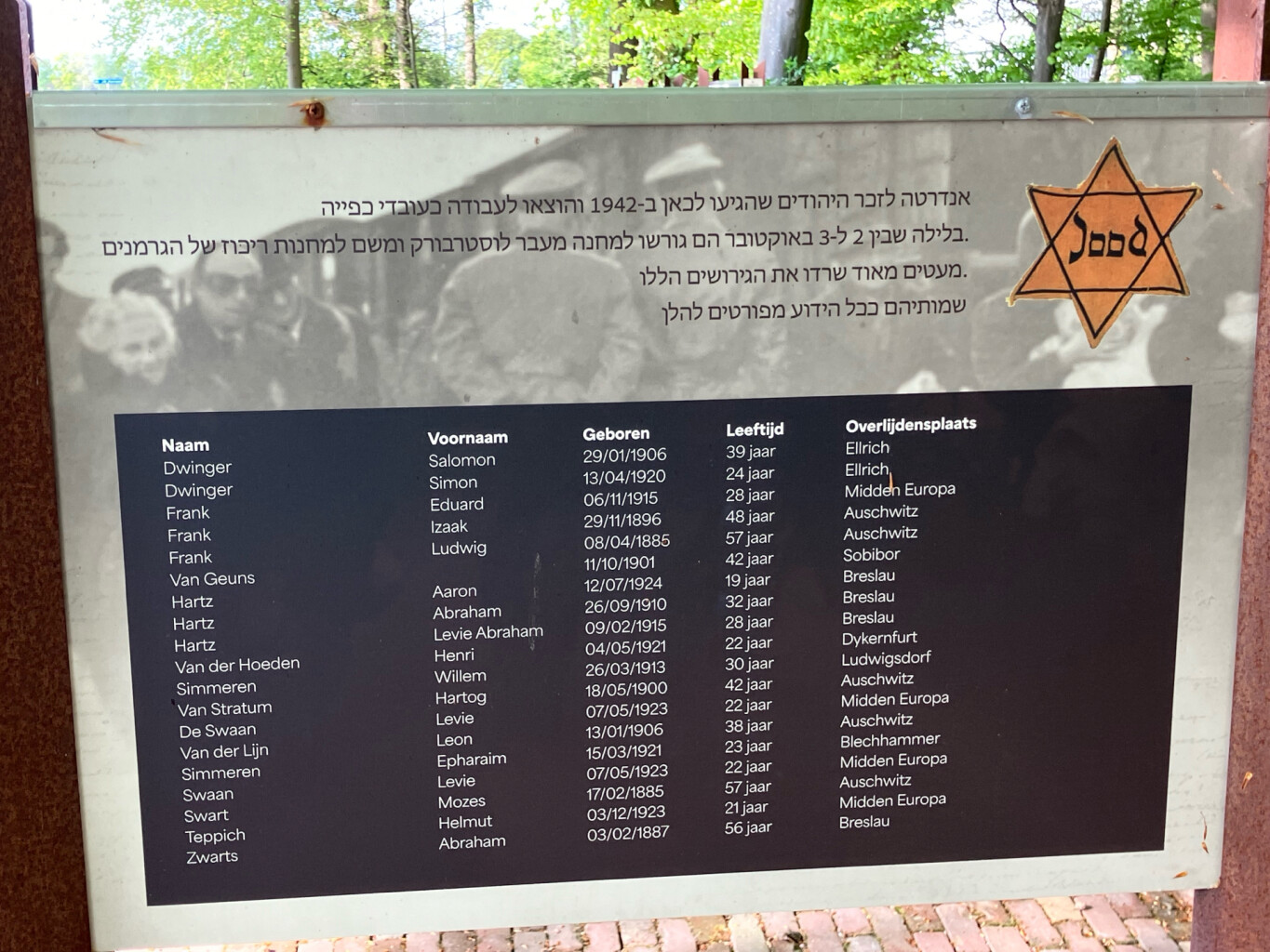 Lichtmis - Staphorst · Westerborkpad etappe 21