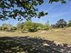 Witte paaltjesroute Zandvoortselaan