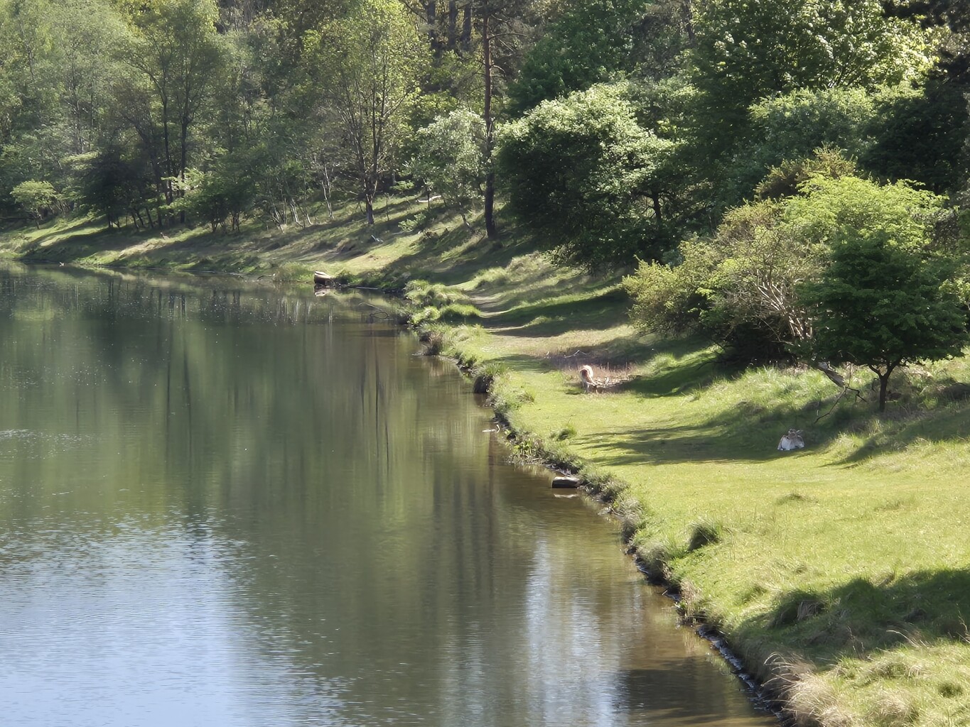 waterleiding duinen witte paaltjes