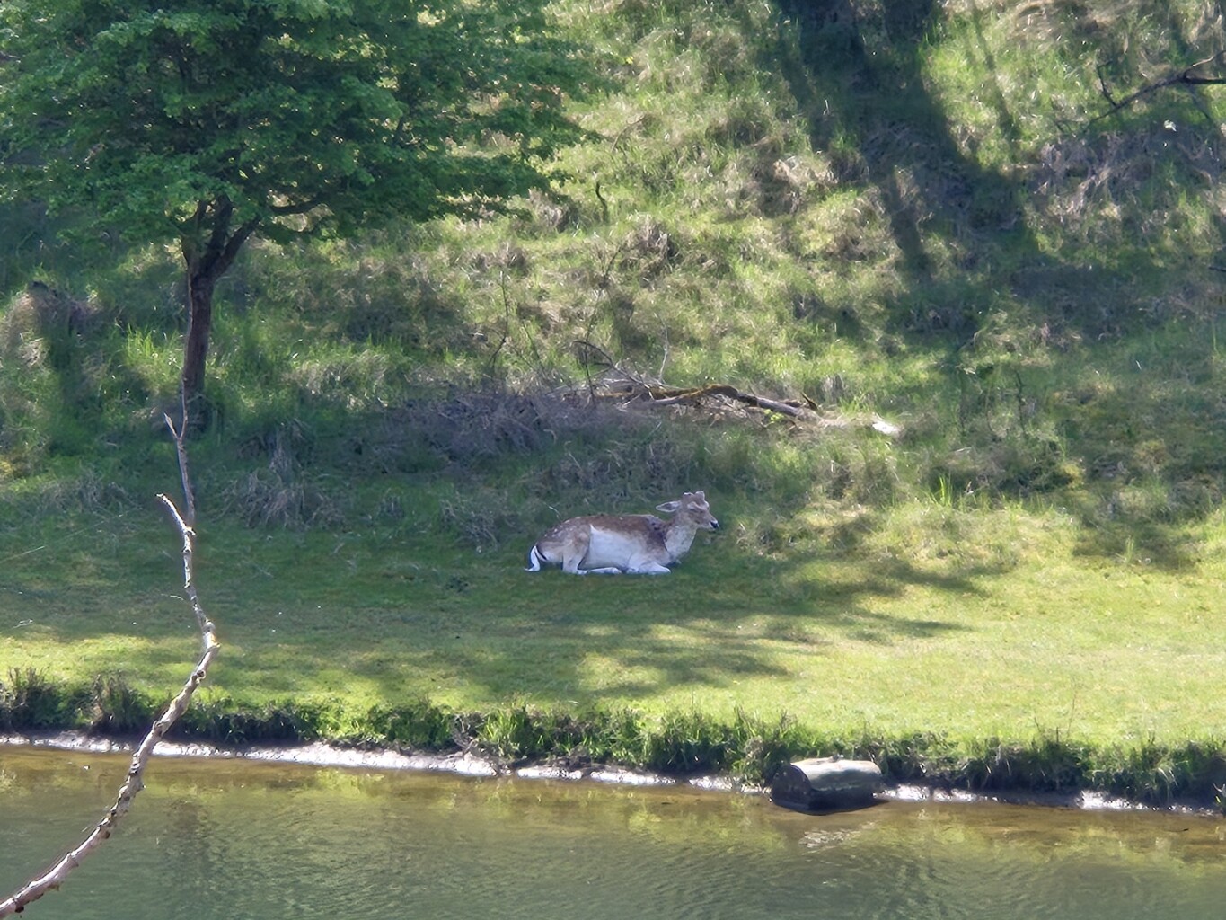 waterleiding duinen witte paaltjes