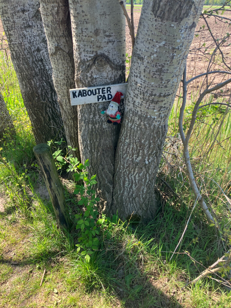 Station Meppel - Koekange · Westerborkpad etappe 23