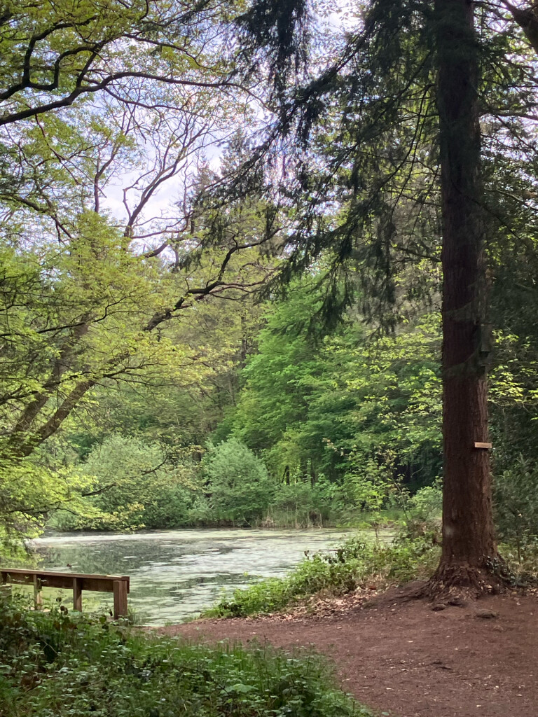 Koekange - Station Hoogeveen · Westerborkpad etappe 24