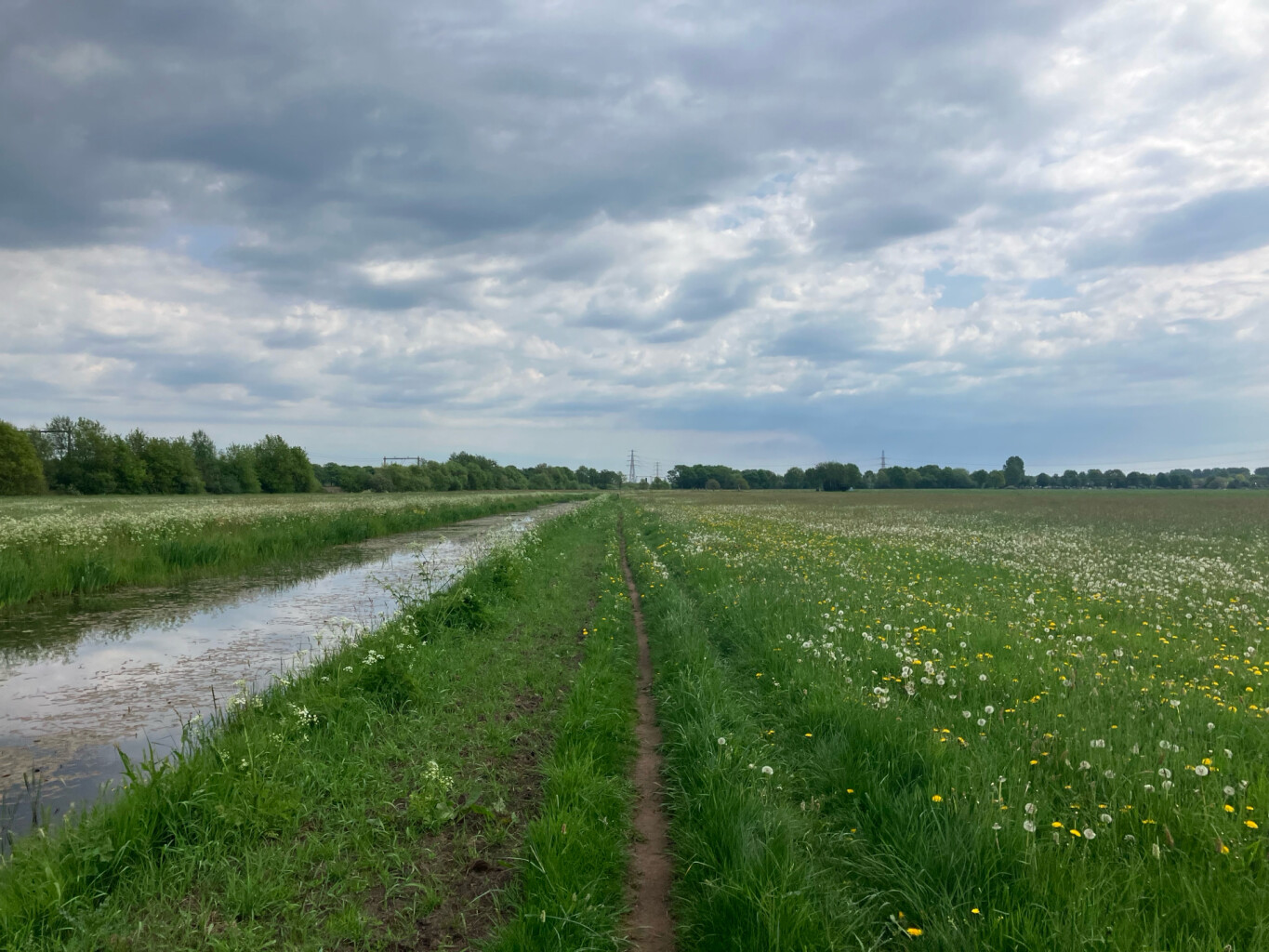 Koekange - Station Hoogeveen · Westerborkpad etappe 24