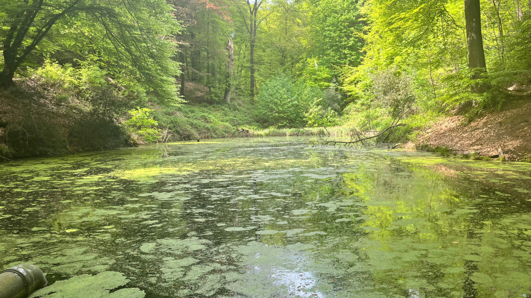 etappe 18, Groesbeek - Gennep