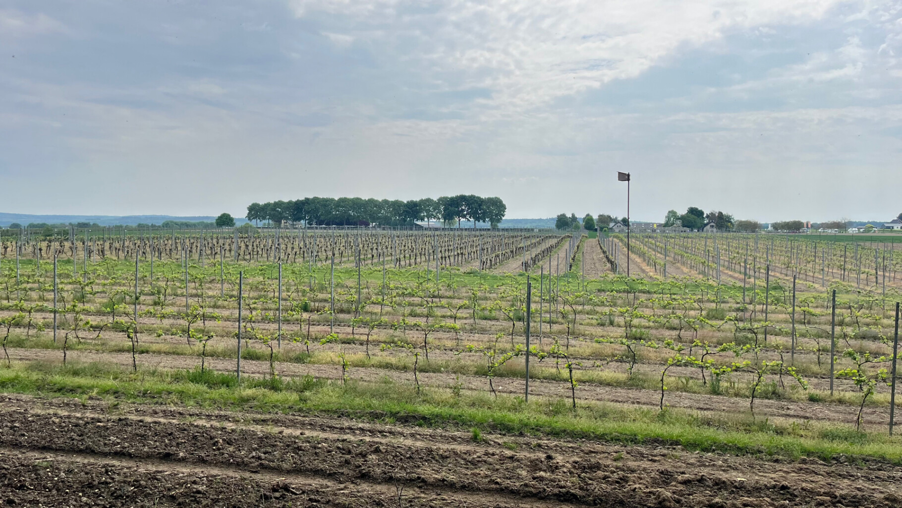 etappe 18, Groesbeek - Gennep