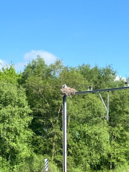 Station Hoogeveen - Kremboong · Westerborkpad etappe 25