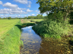 Station Hoogeveen - Kremboong · Westerborkpad etappe 25