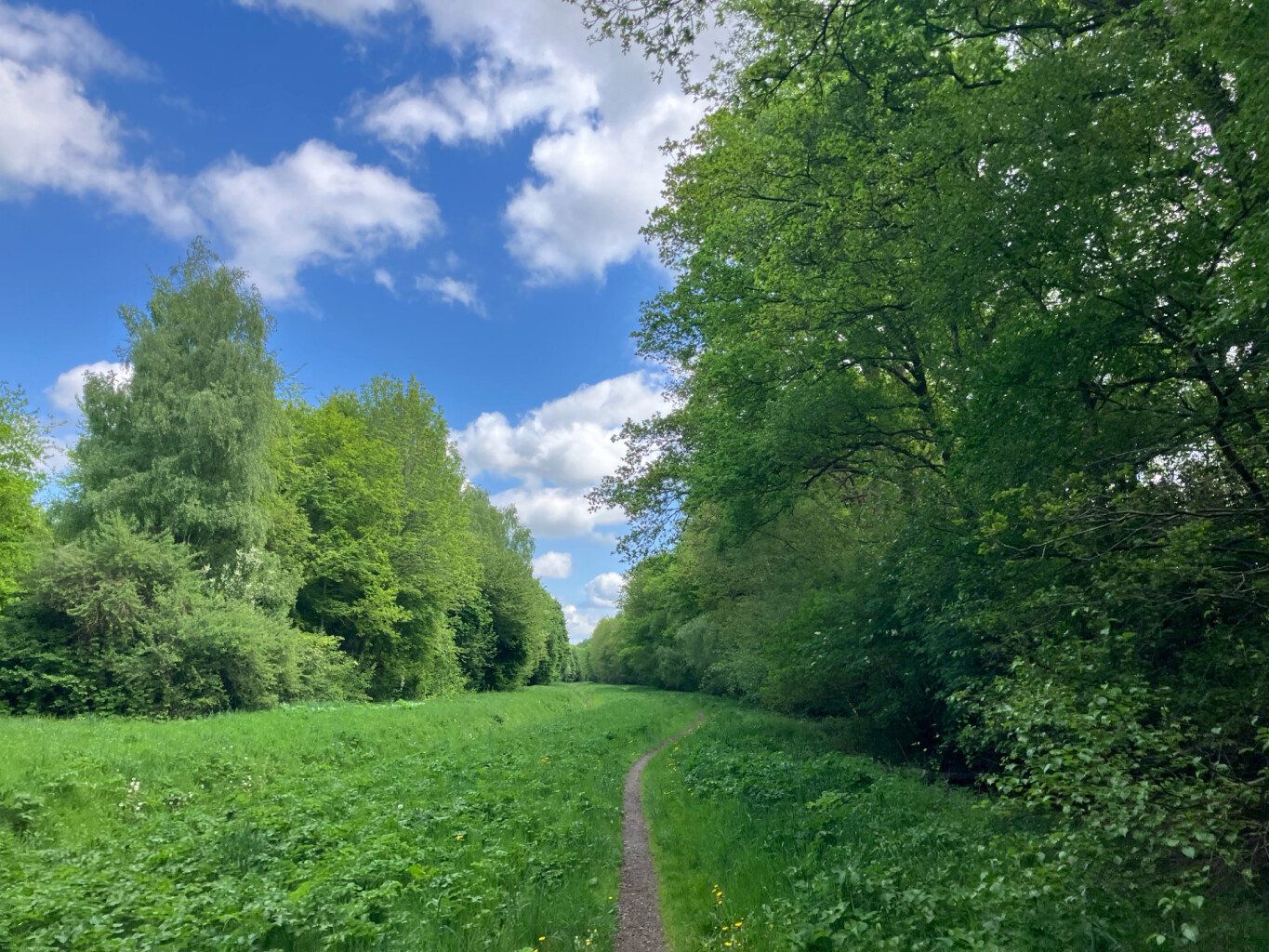 Kremboong - Wijster · Westerborkpad etappe 26