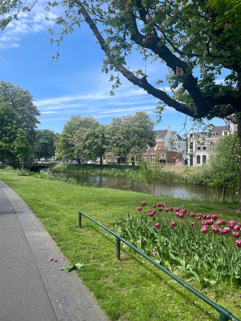 Breda - Kaatsheuvel · Camino Brabant etappe 11