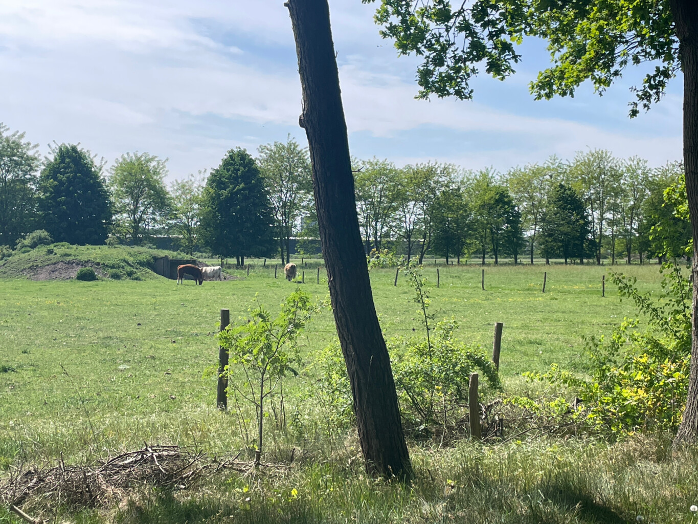 Breda - Kaatsheuvel · Camino Brabant etappe 11