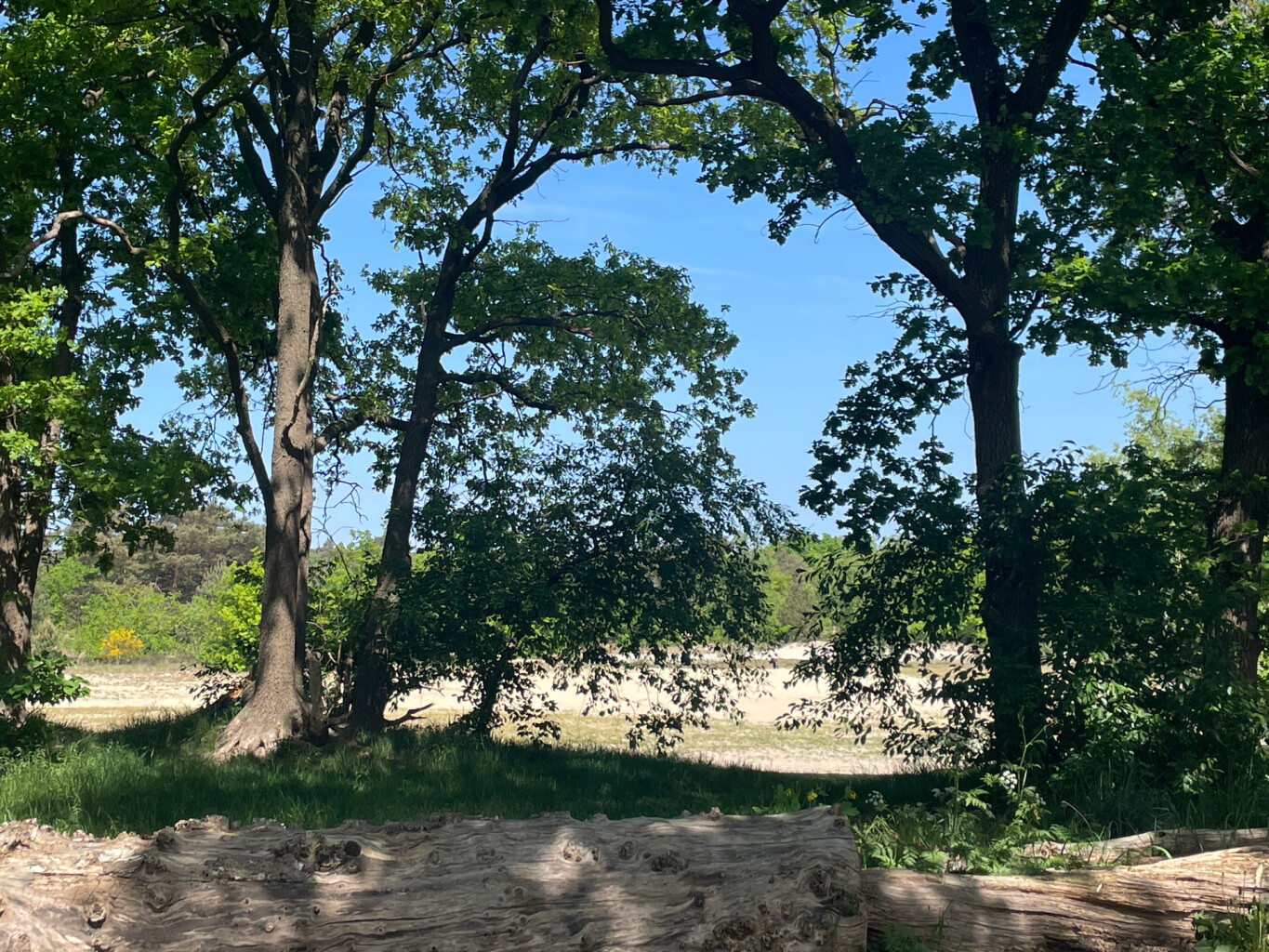 Breda - Kaatsheuvel · Camino Brabant etappe 11