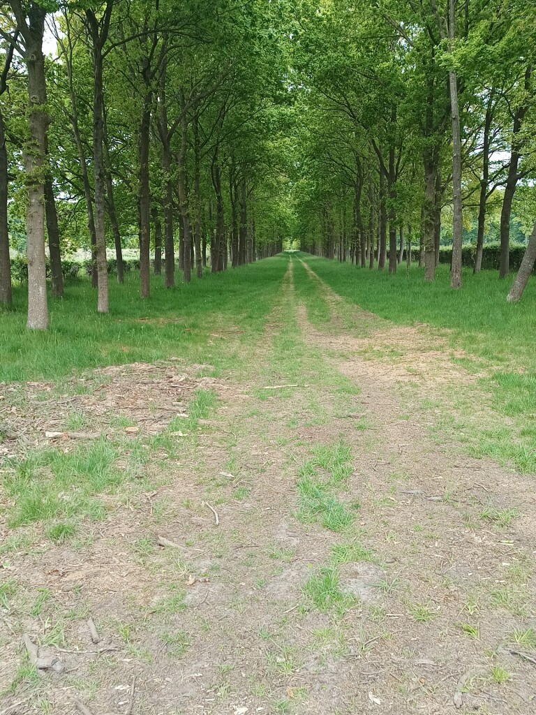 Station Dalfsen - Groen