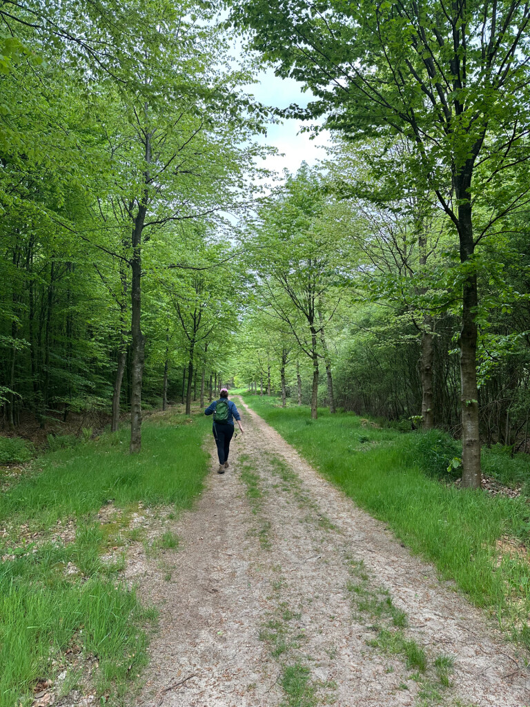 Dalfsen - Ommen (station) · Maarten van Rossumpad etappe 19