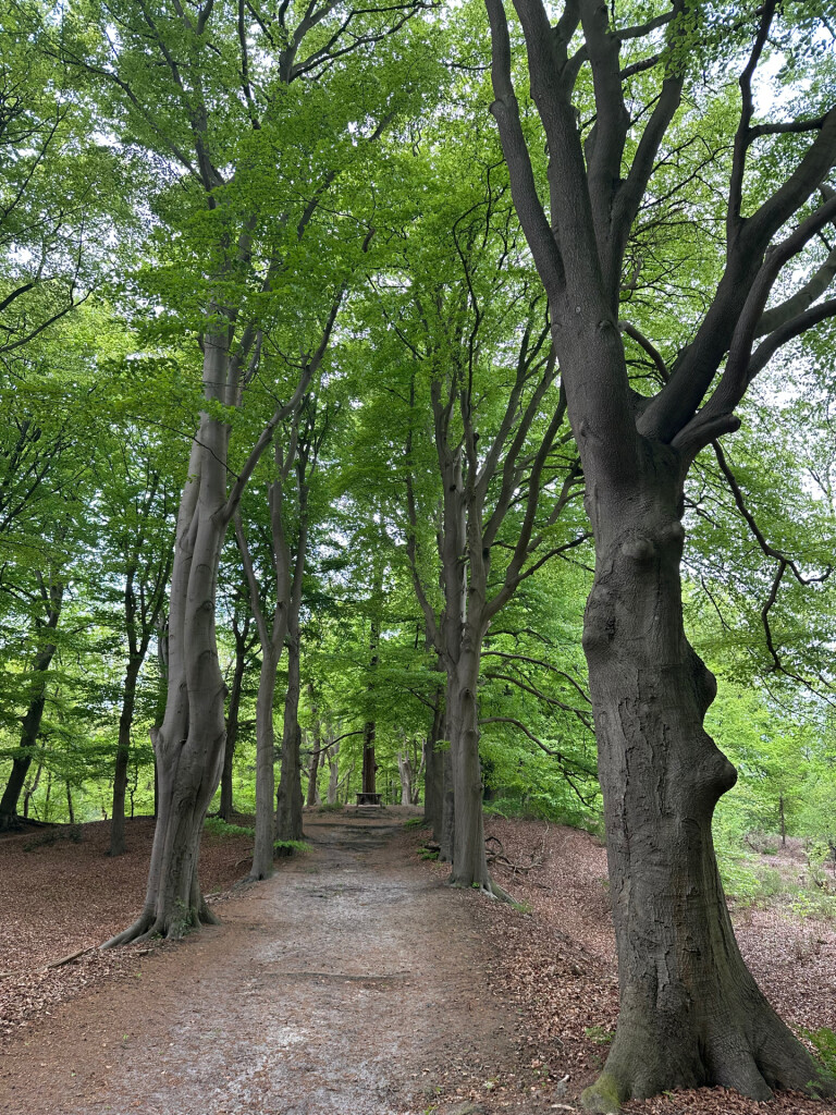 Dalfsen - Ommen (station) · Maarten van Rossumpad etappe 19